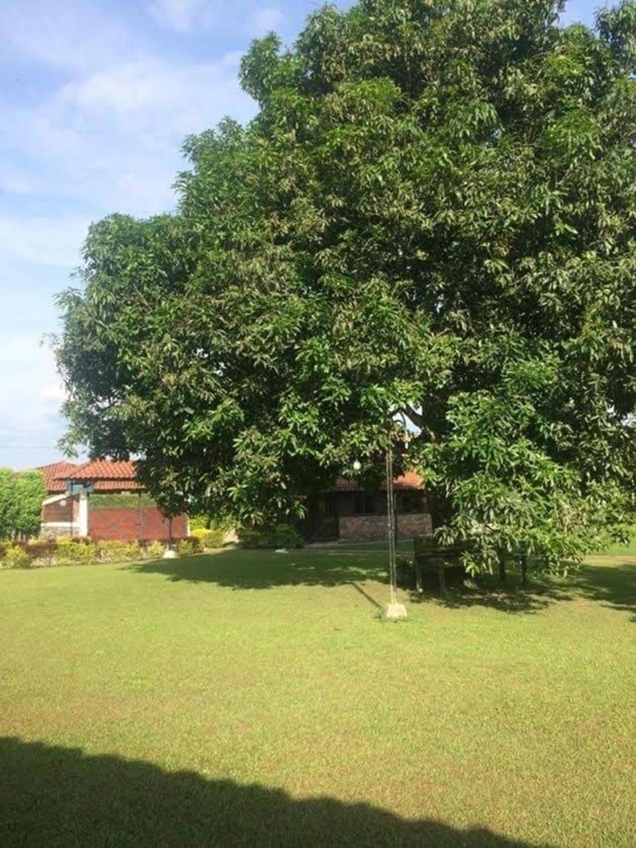 La - Parque Del Cafe Landhaus