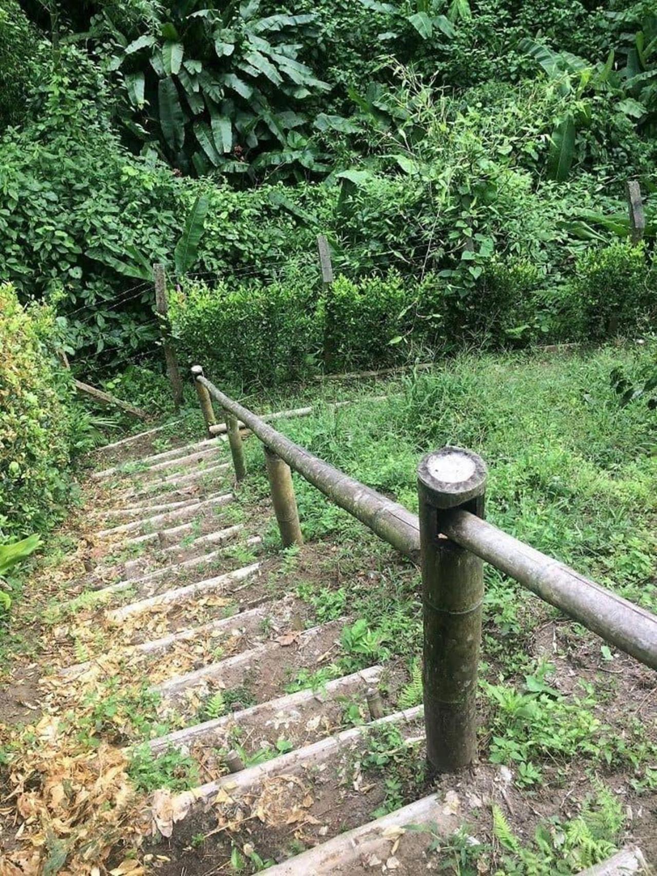 La - Parque Del Cafe